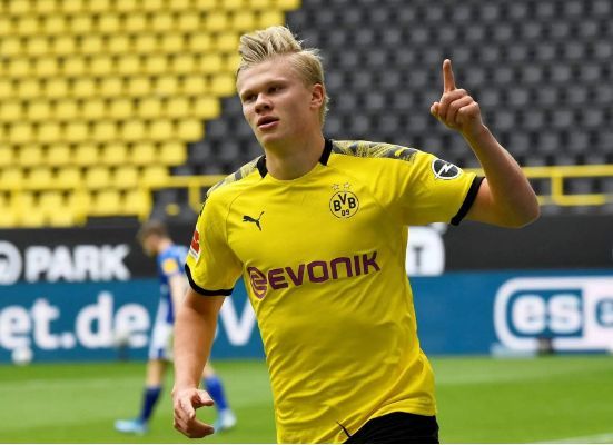 什么样的球员最受教练喜欢？（教练最青睐哪类球员？）