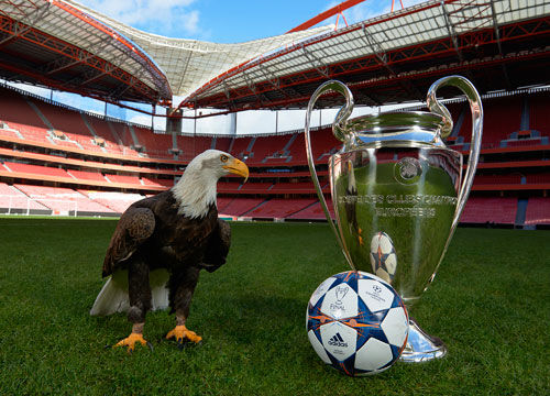 马德兴：中国足协明确提出要抓本土教练培养，为他们创造机会（马德兴：足协将重点培养本土教练，积极为其提供机会）